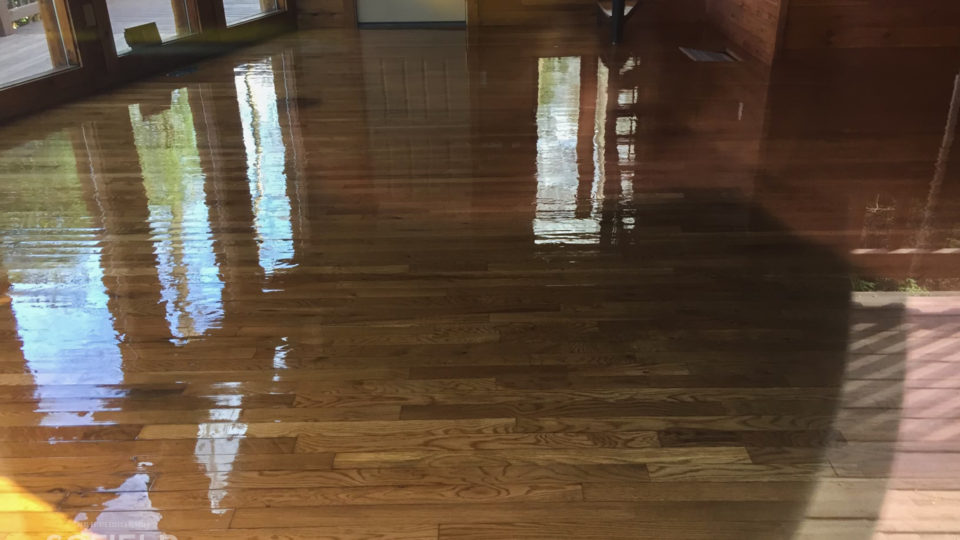 Wood flooring and wood paneling throughout living space.